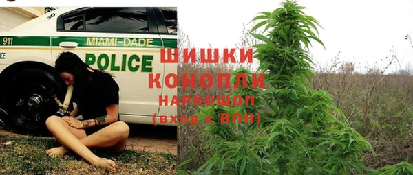 СК Кукмор