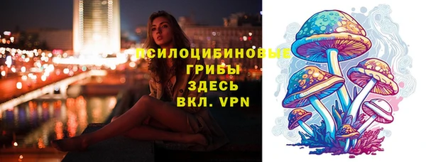 СК Кукмор