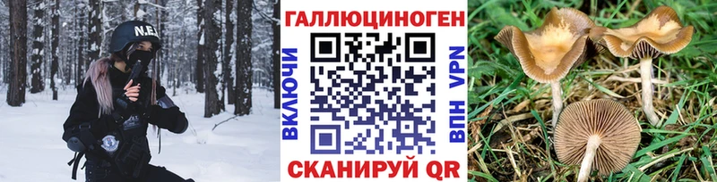 Галлюциногенные грибы ЛСД  Александров 